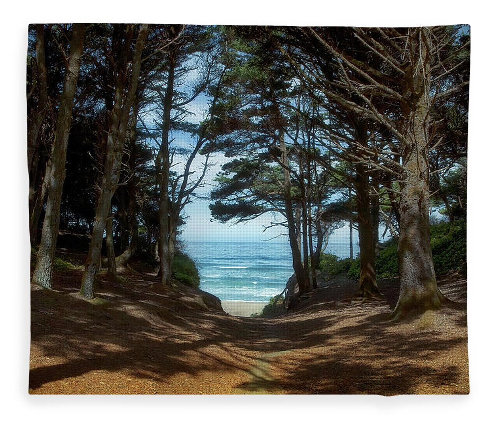 Beach Fleece Blanket featuring the photograph Beach Trail by Loyd Towe Photography