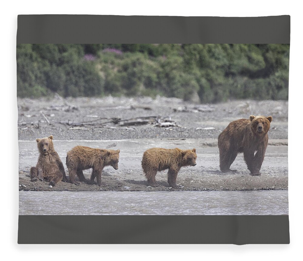Alaska Fleece Blanket featuring the photograph Bears in a Sandstorm by Cheryl Strahl