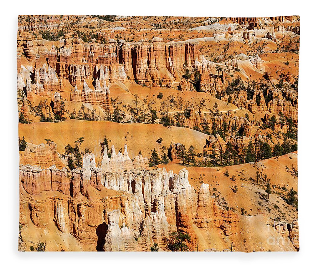 Wayne Moran Photograpy Fleece Blanket featuring the photograph Beautiful Bryce Canyon National Park Beautiful by Wayne Moran