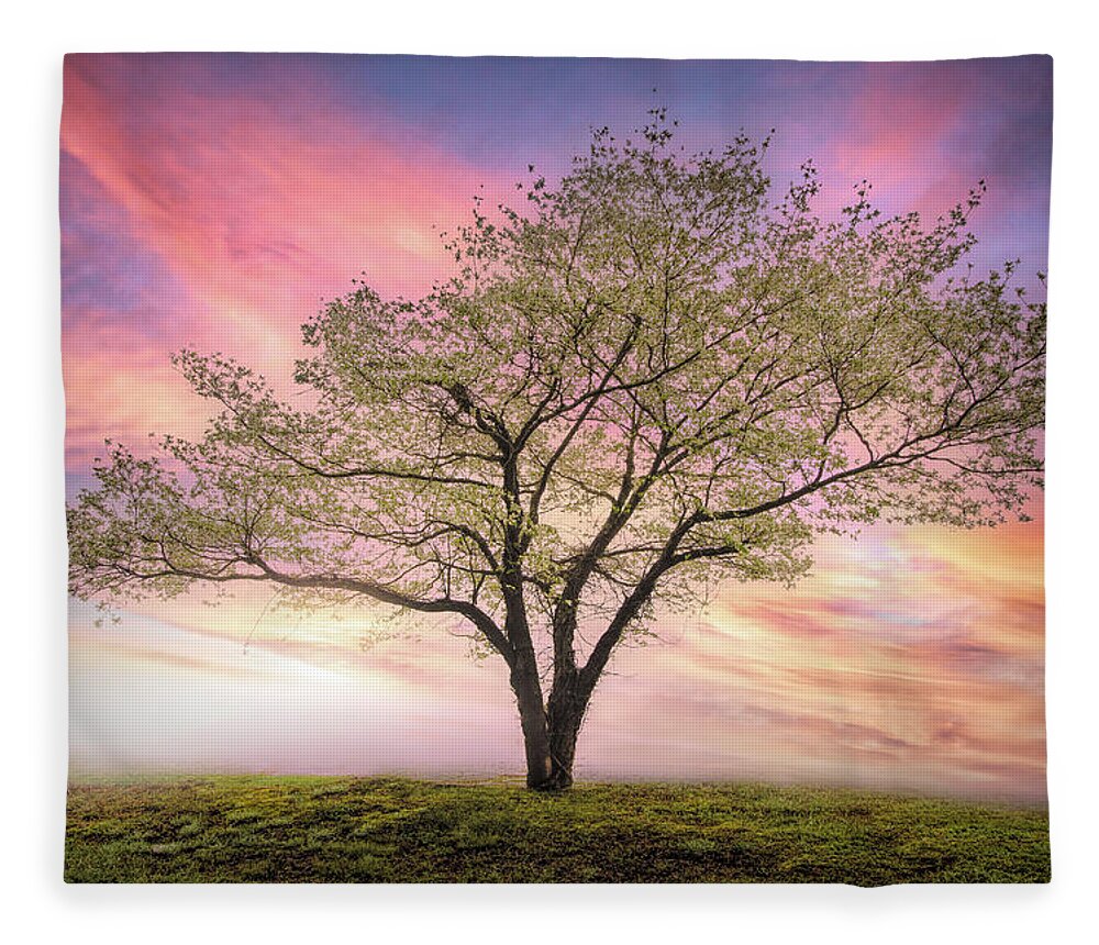 Carolina Fleece Blanket featuring the photograph Beautiful Dogwood Tree by Debra and Dave Vanderlaan