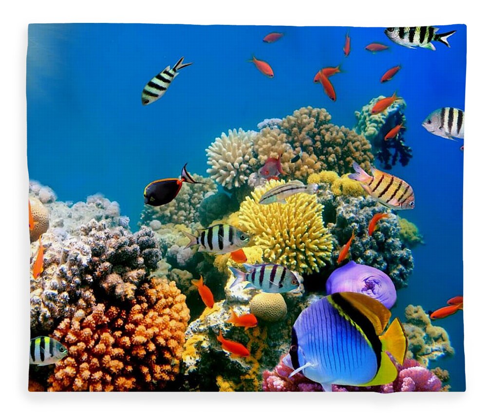 Fish Fleece Blanket featuring the photograph Beautiful Fish On Coral Reef by World Art Collective