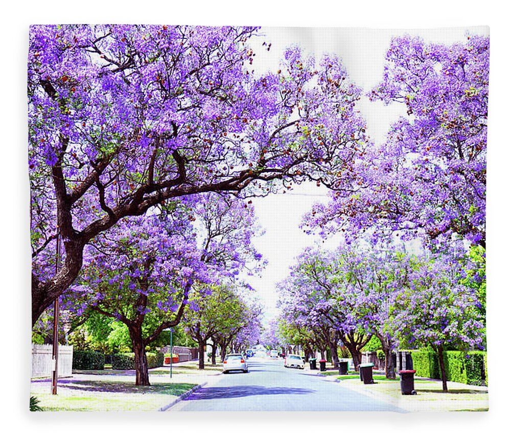 Jacaranda Fleece Blanket featuring the photograph Beautiful purple flower Jacaranda tree lined street in full bloom. by Milleflore Images