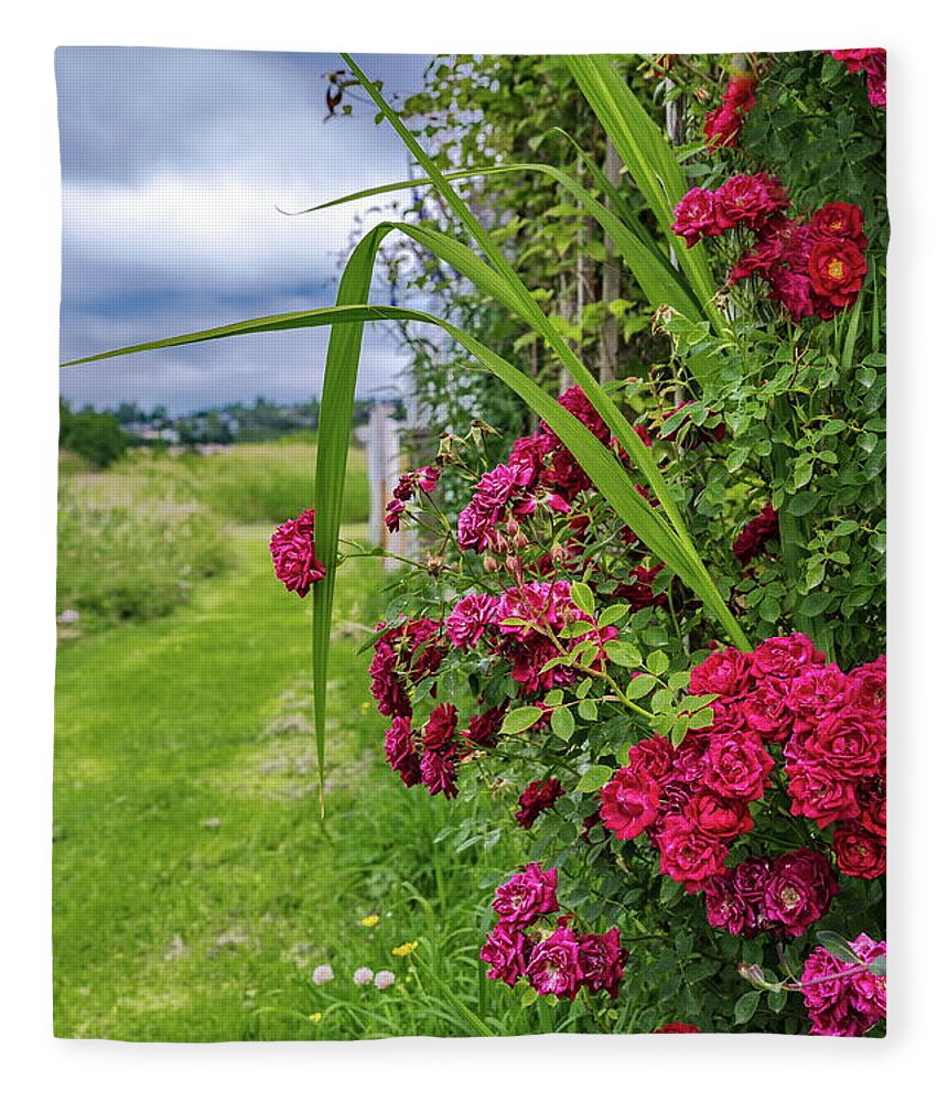 Alex Lyubar Fleece Blanket featuring the photograph Beautiful Spring Flowers by Alex Lyubar