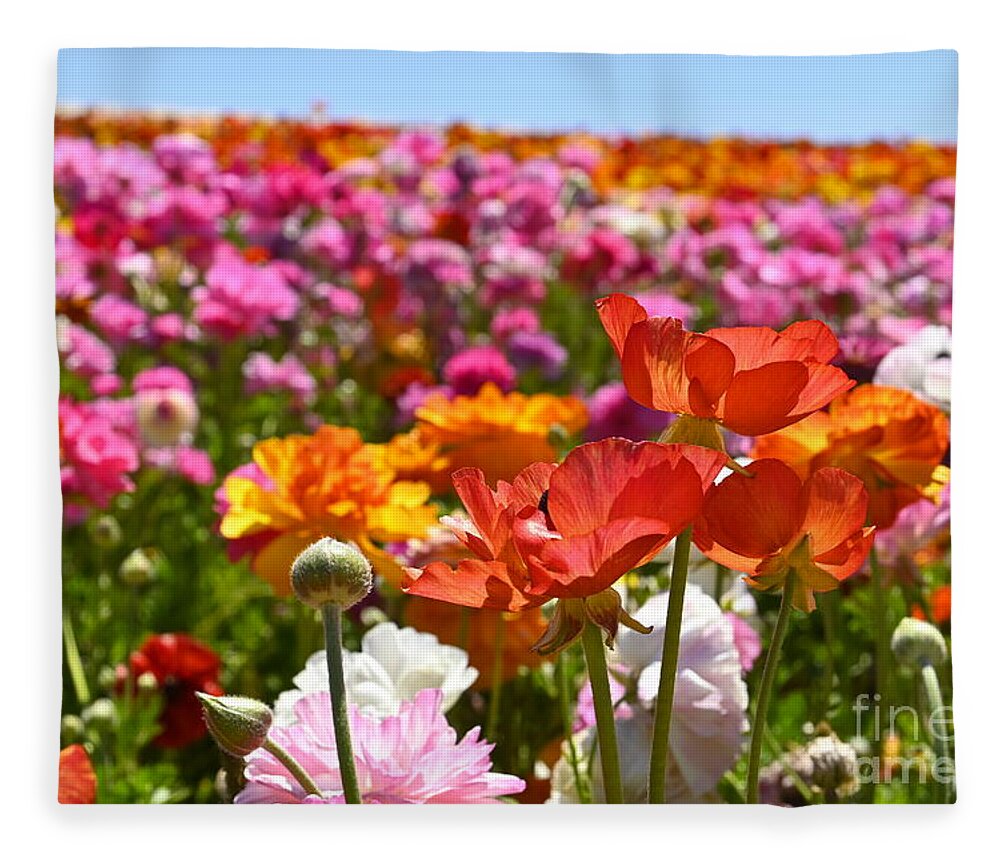 Flowers Fleece Blanket featuring the photograph Beautiful Spring Flowers by Rich Cruse