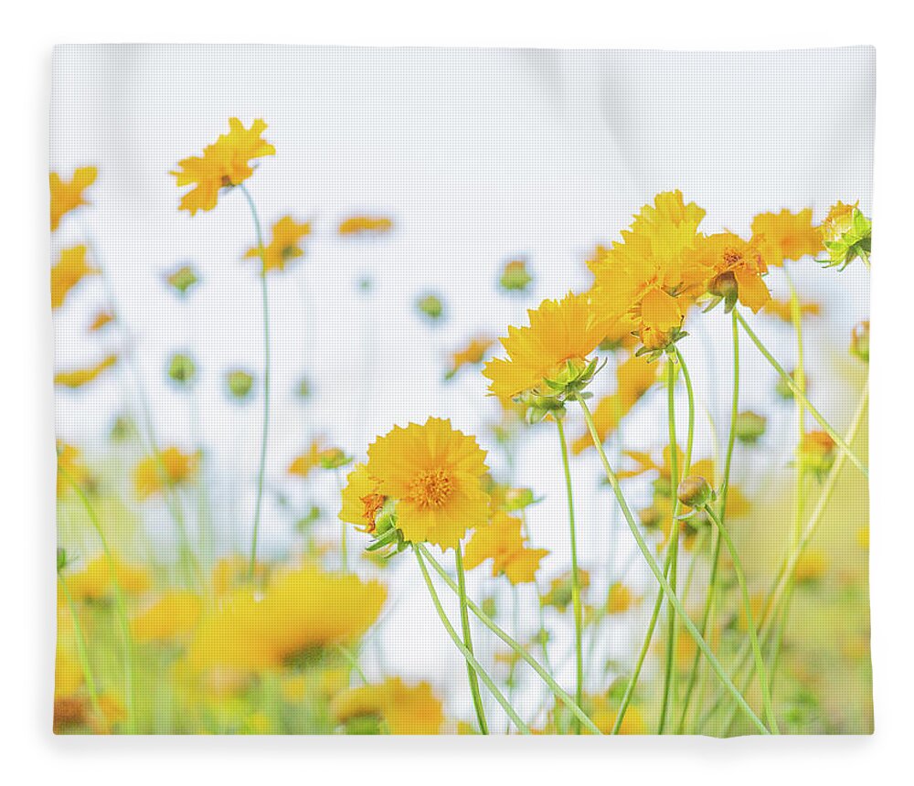 Yellow Fleece Blanket featuring the photograph Beautiful Yellow Flowers by Katie Dobies