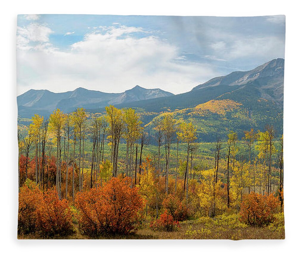 Autumn Fleece Blanket featuring the photograph Beckwith Autumn by Aaron Spong