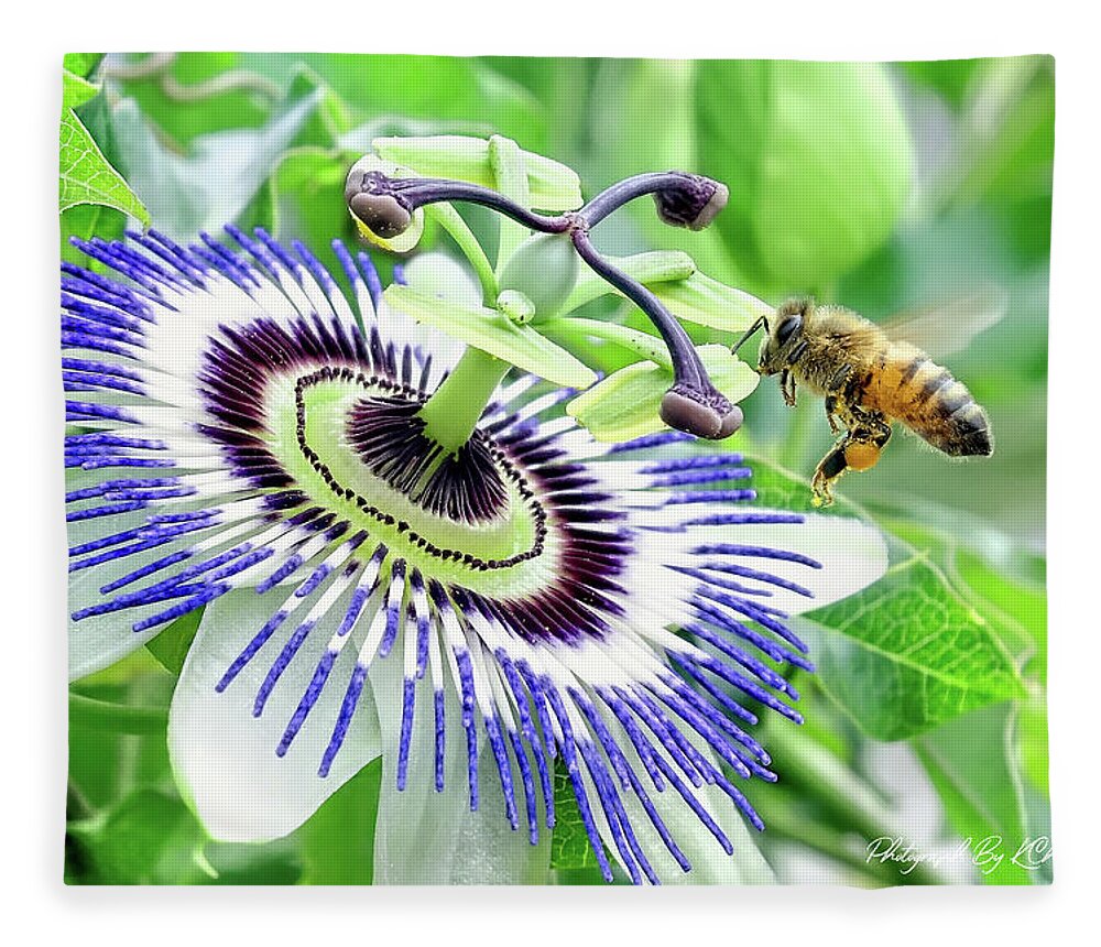 Bee Photo Prints Fleece Blanket featuring the digital art Bee 87 by Kevin Chippindall
