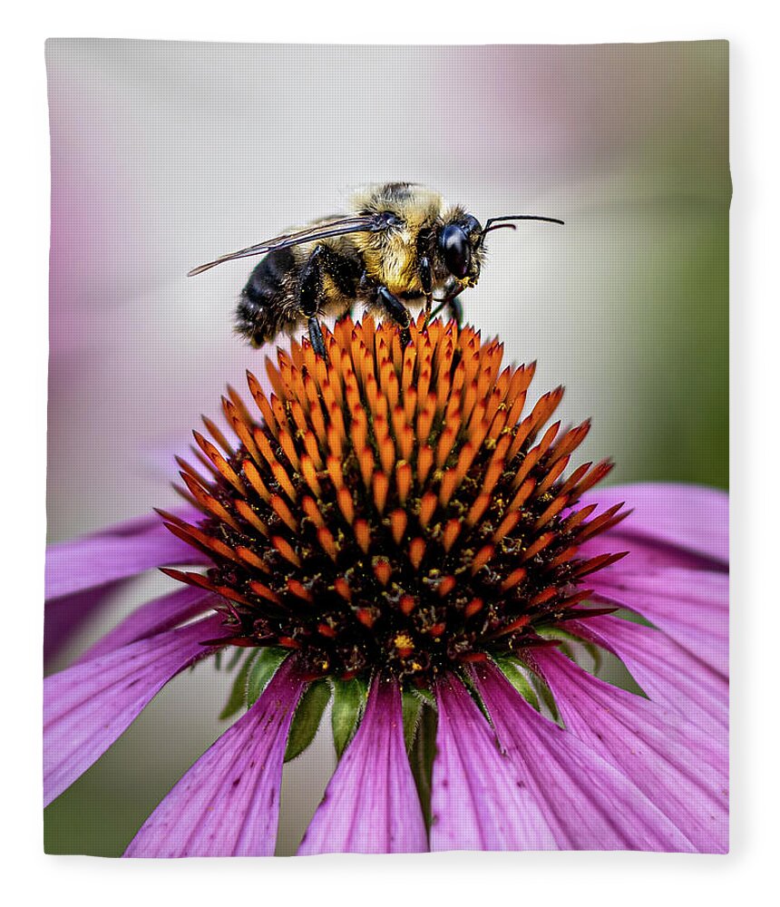 Bee Fleece Blanket featuring the photograph Bee claiming the flower by Rick Nelson