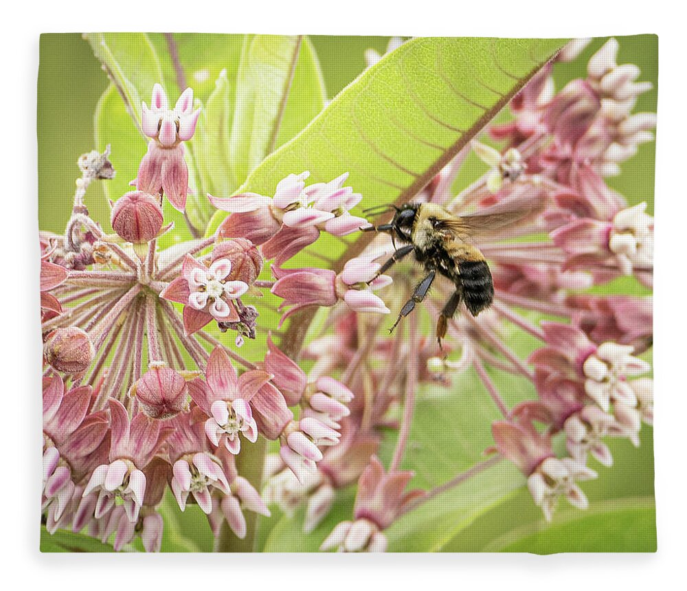 Bee Flying Pink Flower Fleece Blanket featuring the photograph Bee in flight by David Morehead