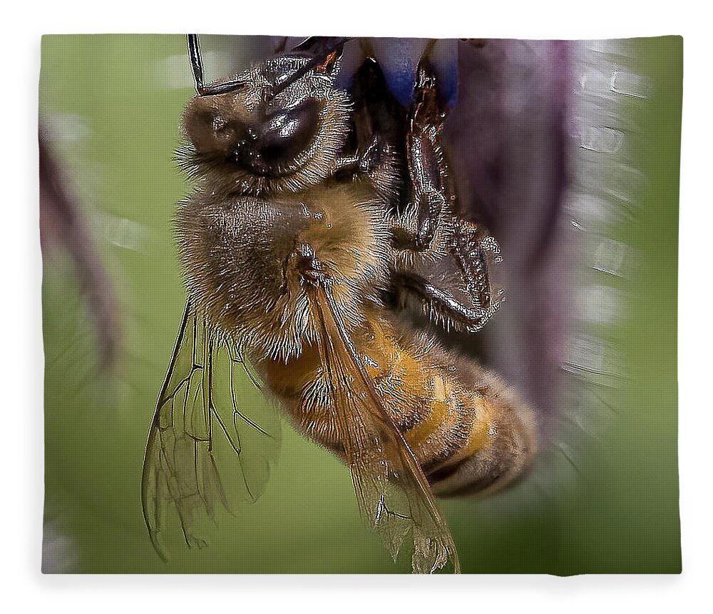 Honeybee Fleece Blanket featuring the photograph Bee on Starflower by Cheri Freeman