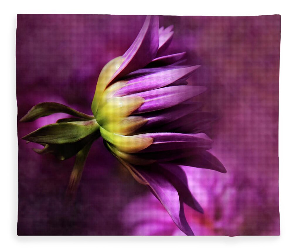 Flower Photography Fleece Blanket featuring the photograph Beginnings by Sally Bauer