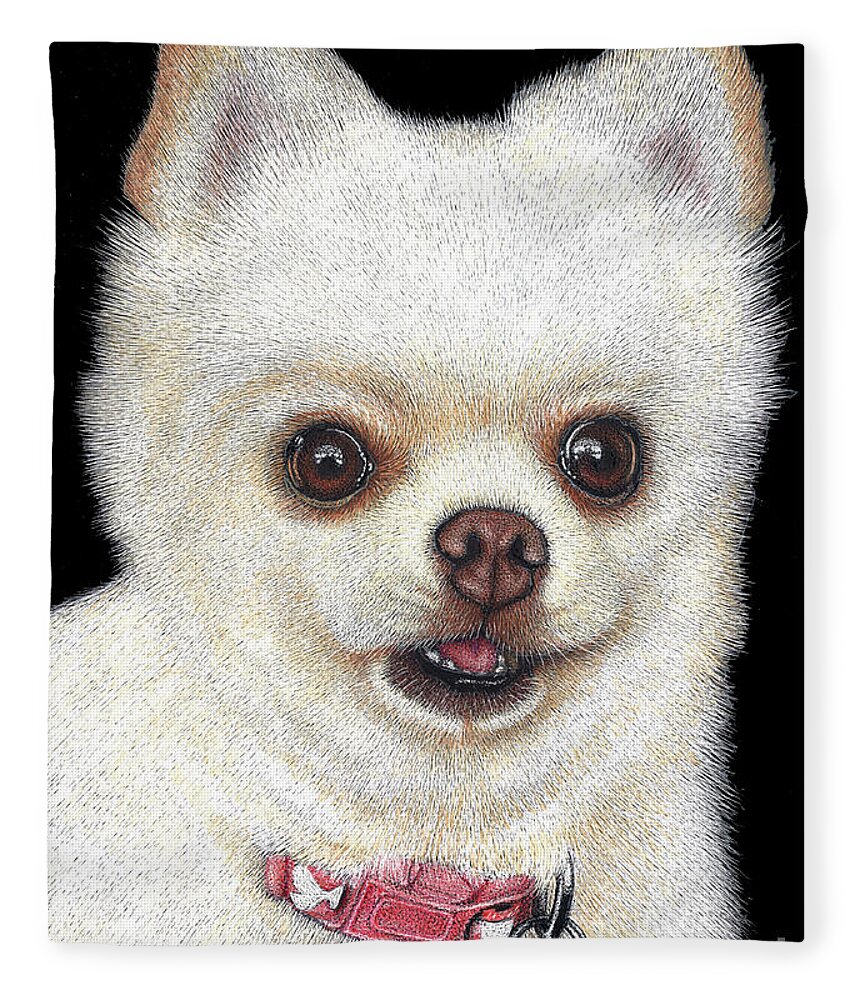 Pomeranian Fleece Blanket featuring the drawing Bella by Sheryl Unwin