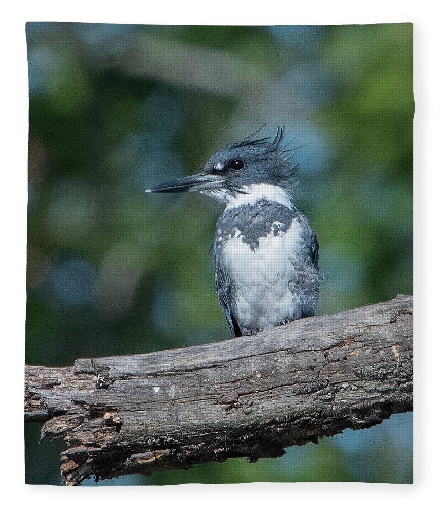 Nature Fleece Blanket featuring the photograph Belted Kingfisher DSB0380 by Gerry Gantt