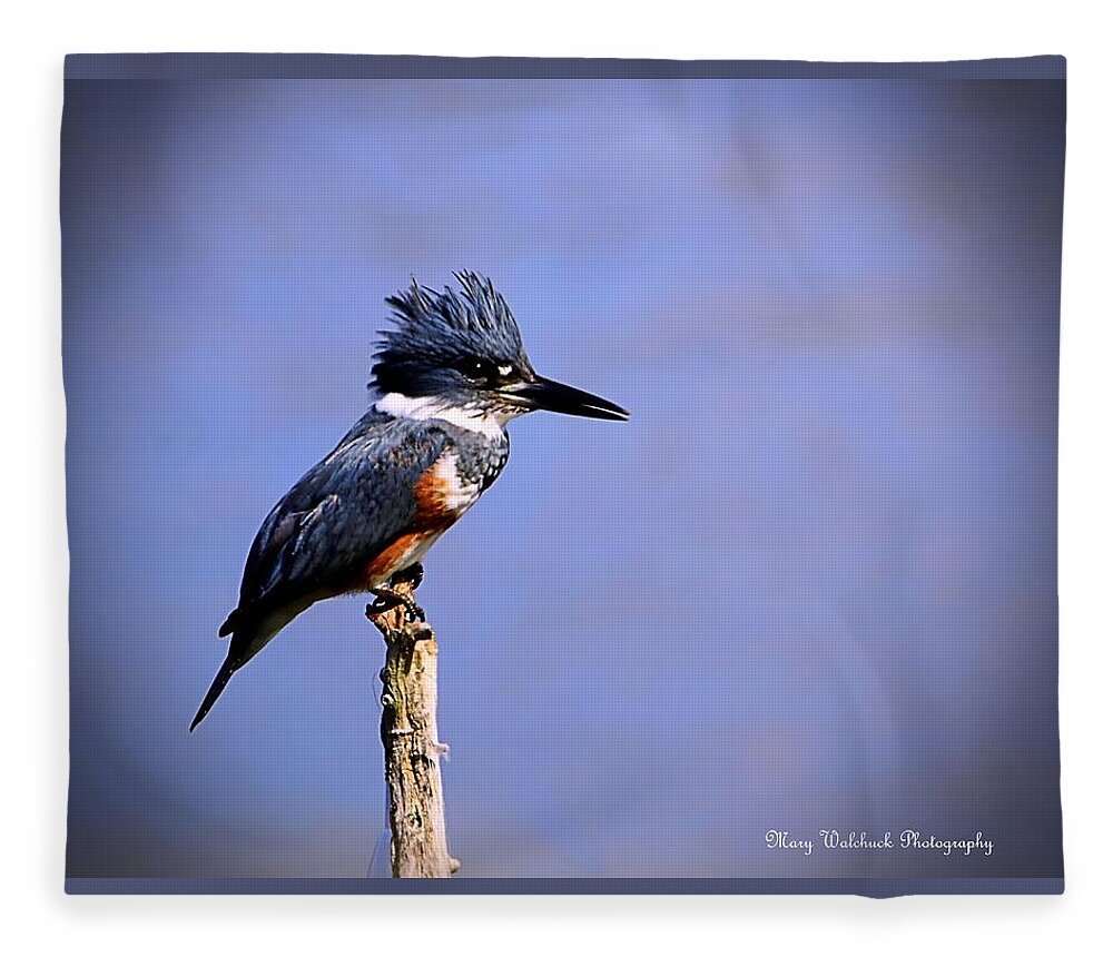 Birds Fleece Blanket featuring the photograph Belted Kingfisher by Mary Walchuck