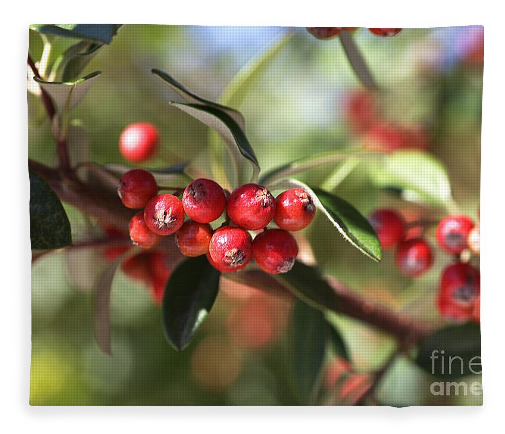  Fleece Blanket featuring the photograph Berry Delight by Joy Watson