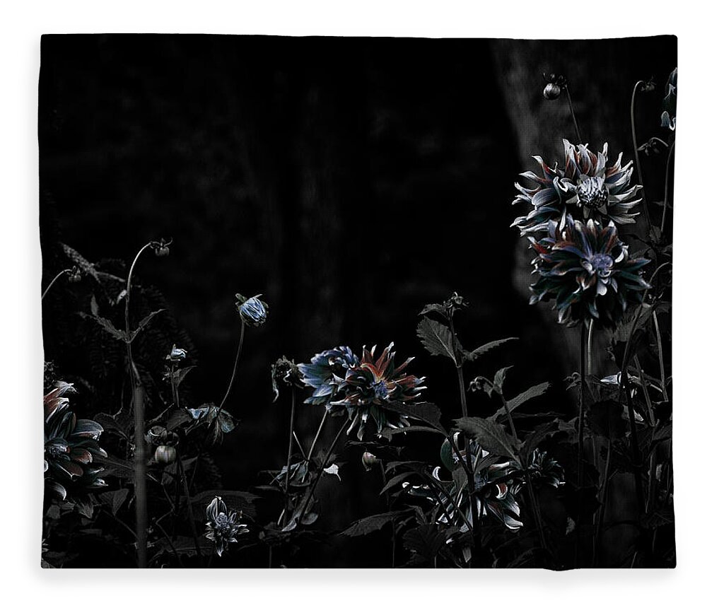 Dahlias Fleece Blanket featuring the photograph Beyond the Reasonable Doubt by Cynthia Dickinson