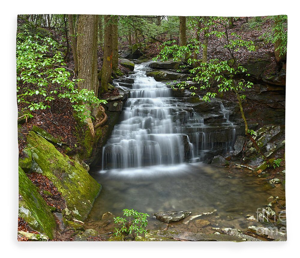 Big Branch Falls Fleece Blanket featuring the photograph Big Branch Falls 1 by Phil Perkins