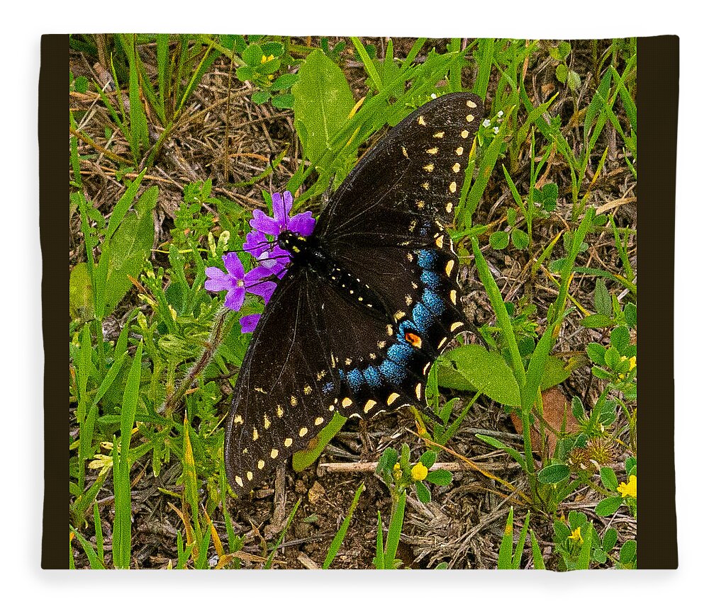 Butterfly Fleece Blanket featuring the photograph Big Swallow Little Flower by Ivars Vilums