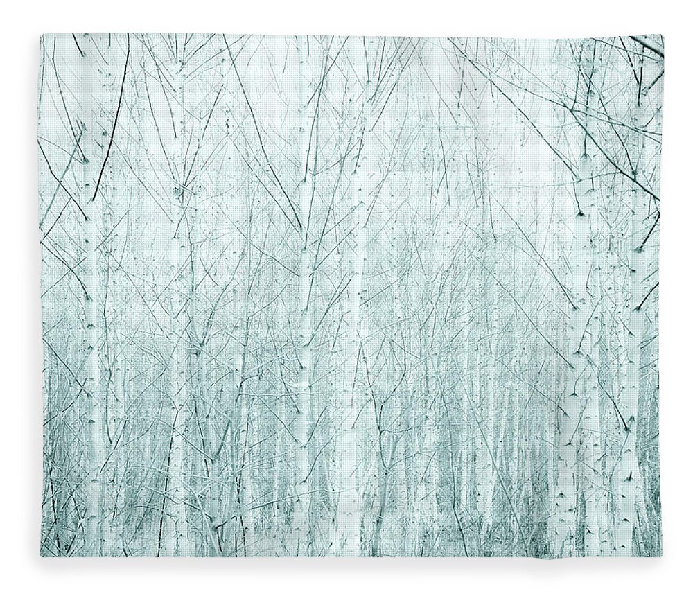 Forest Fleece Blanket featuring the photograph Birches by Dorit Fuhg