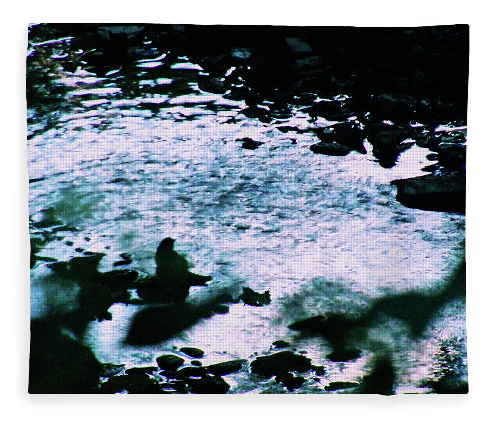 Bird Fleece Blanket featuring the photograph Bird Bathing at Twilight by Christopher Reed
