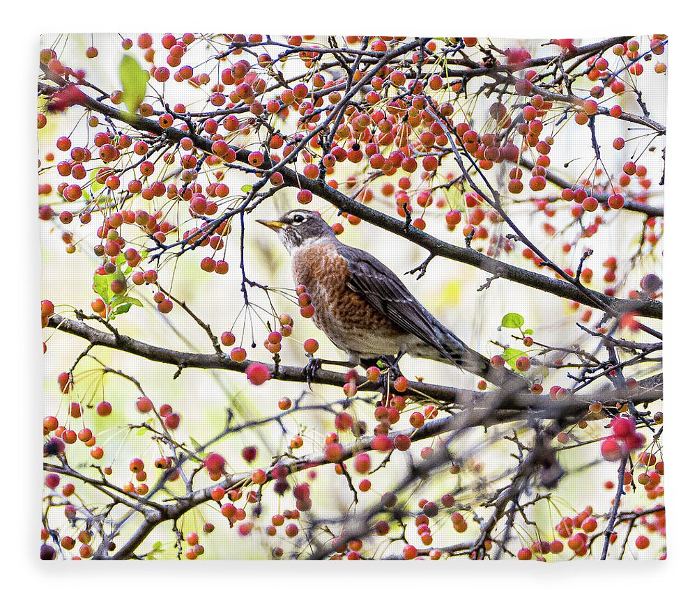 Bird Tree Red Berries Colorful Fleece Blanket featuring the photograph Bird in a Tree by David Morehead