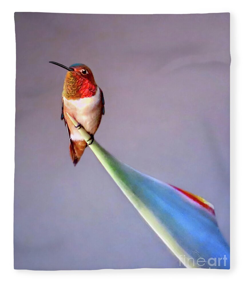 Bird Fleece Blanket featuring the photograph Birds of Paradise by Jennie Breeze