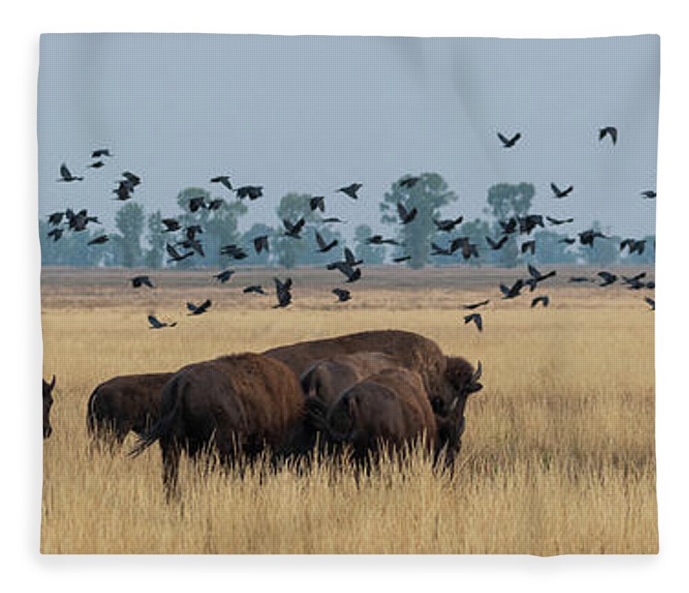 Bison Fleece Blanket featuring the photograph Bison and Birds Panorama by Mary Hone
