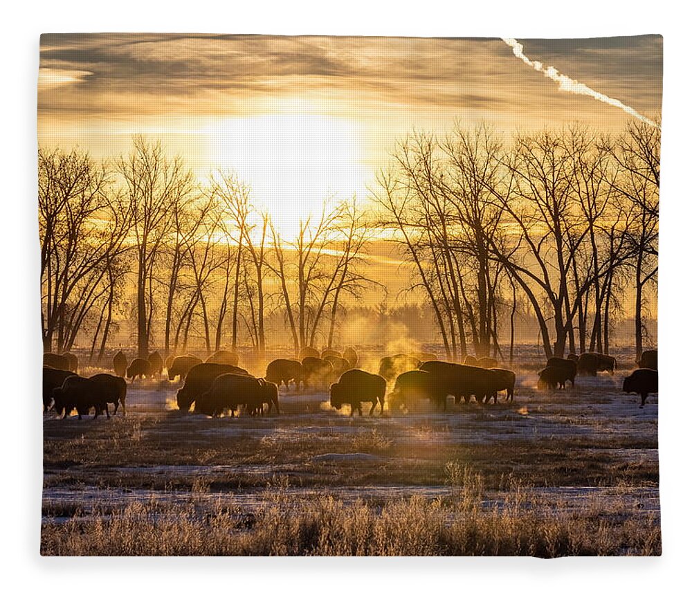 Bison Fleece Blanket featuring the photograph Silhouetted Bison at Sunrise on a Cold Morning on the Great Plains by Tony Hake