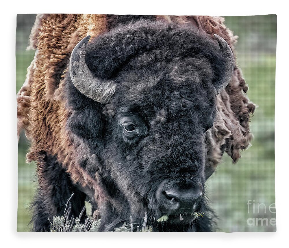 Bison Fleece Blanket featuring the photograph Bison Portrait by Al Andersen