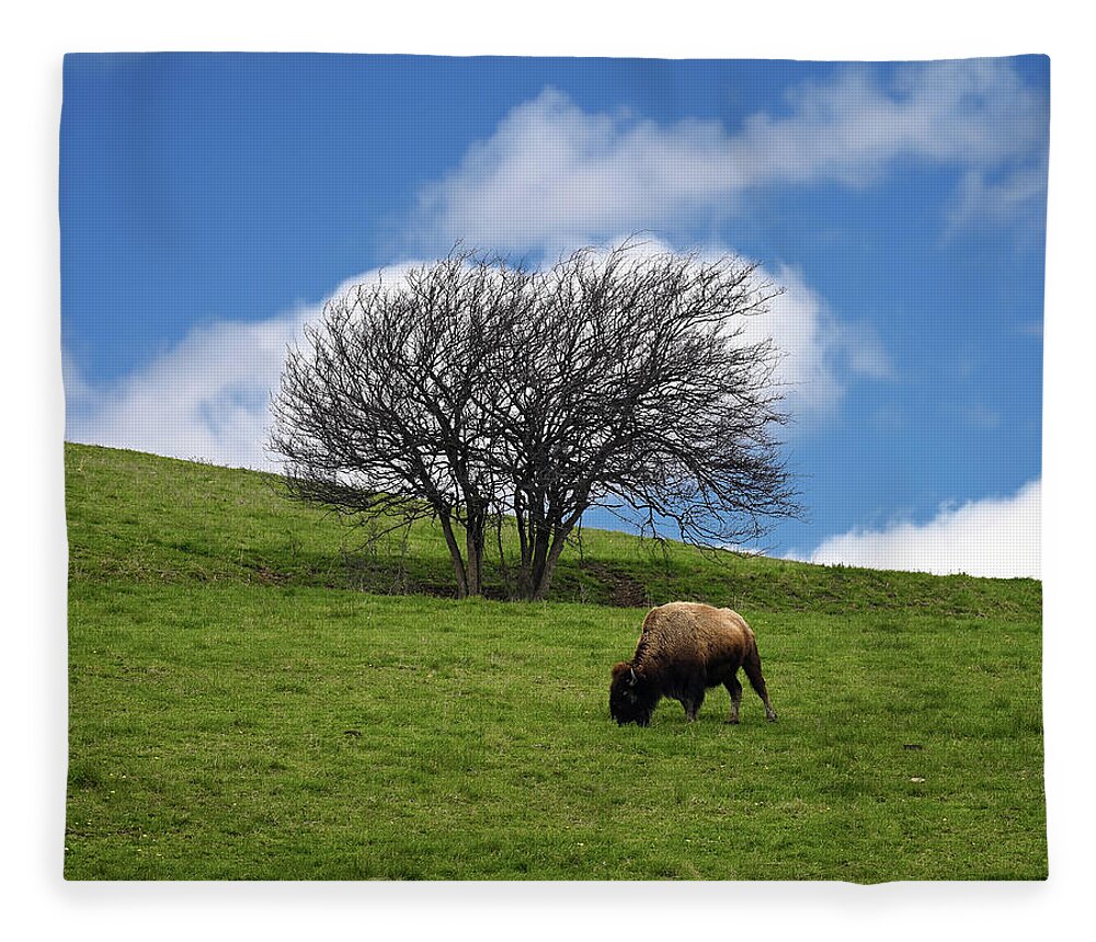 Bison Fleece Blanket featuring the photograph Bison Tree by Steven Nelson
