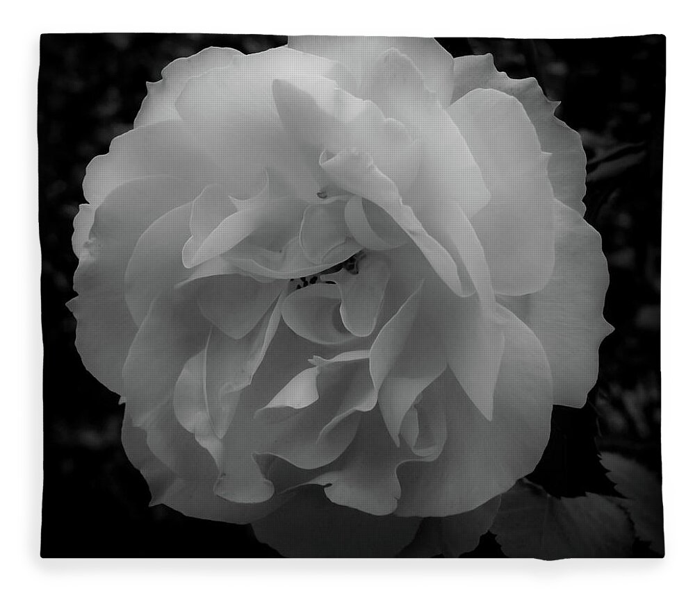 Flower Fleece Blanket featuring the photograph Black and White by Anamar Pictures