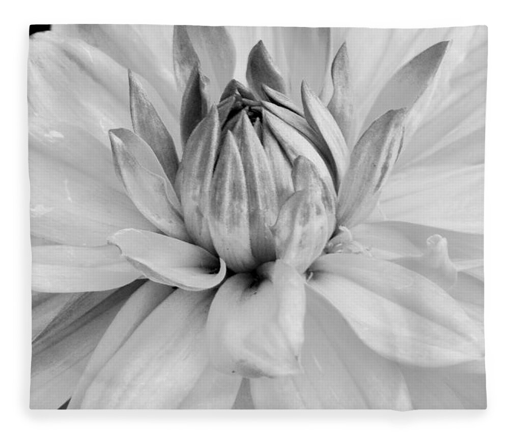 Flower Fleece Blanket featuring the photograph Black and White Dahlia 3 by Amy Fose