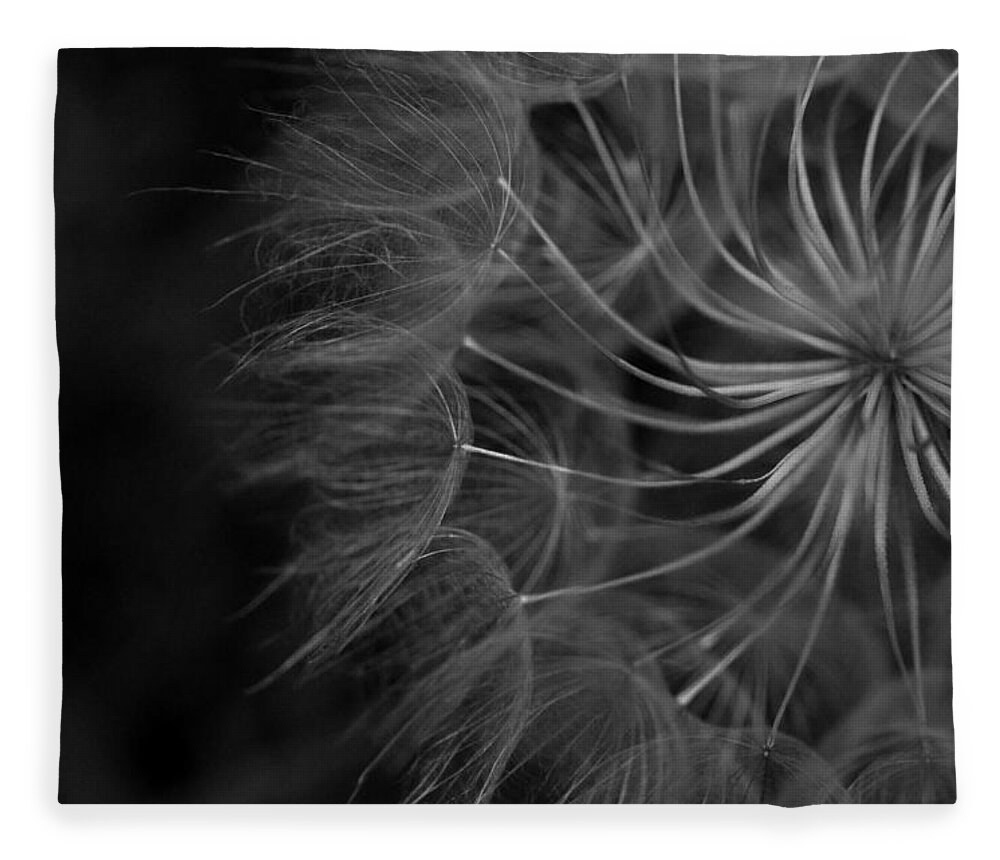 Nature Fleece Blanket featuring the photograph Black and White Dandelion 1 by Amy Fose