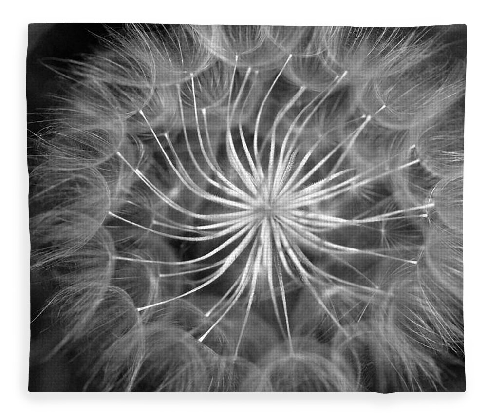 Nature Fleece Blanket featuring the photograph Black and White Dandelion 2 by Amy Fose