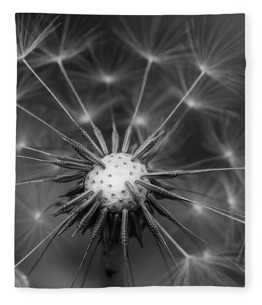 Mountain Fleece Blanket featuring the photograph Black and White Dandelion by Go and Flow Photos