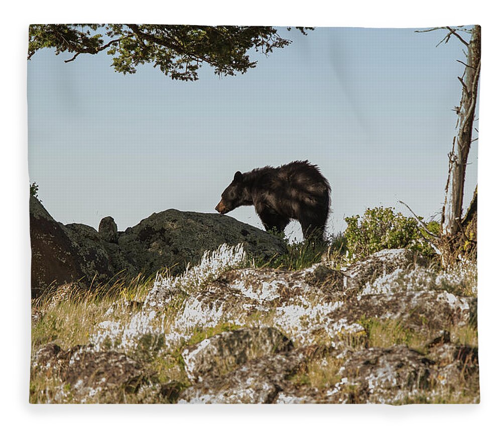 Black Bear Fleece Blanket featuring the photograph Black Bear At Yellowstone 1 by Joe Granita