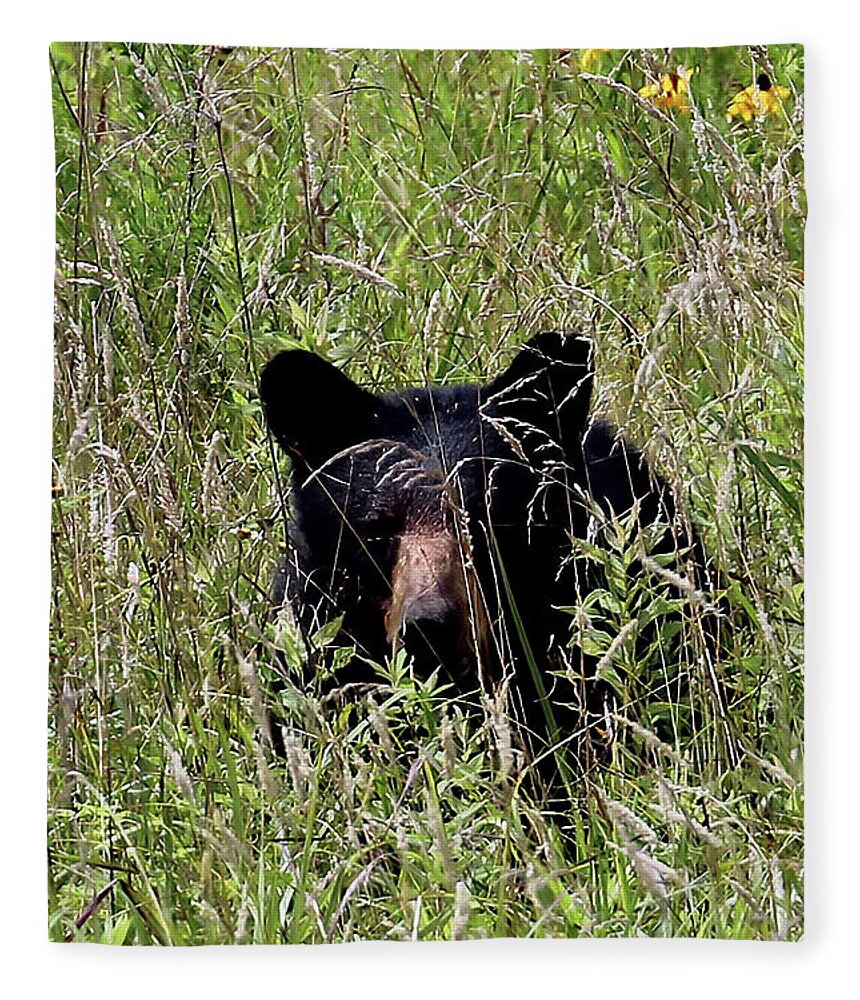 Tennessee Fleece Blanket featuring the photograph Black Bear In The Cove by Jennifer Robin