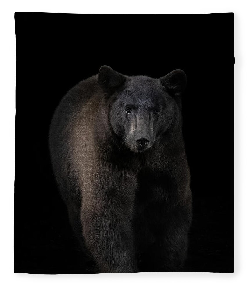 Camera Trap Fleece Blanket featuring the photograph Black Bear Portrait by Randy Robbins