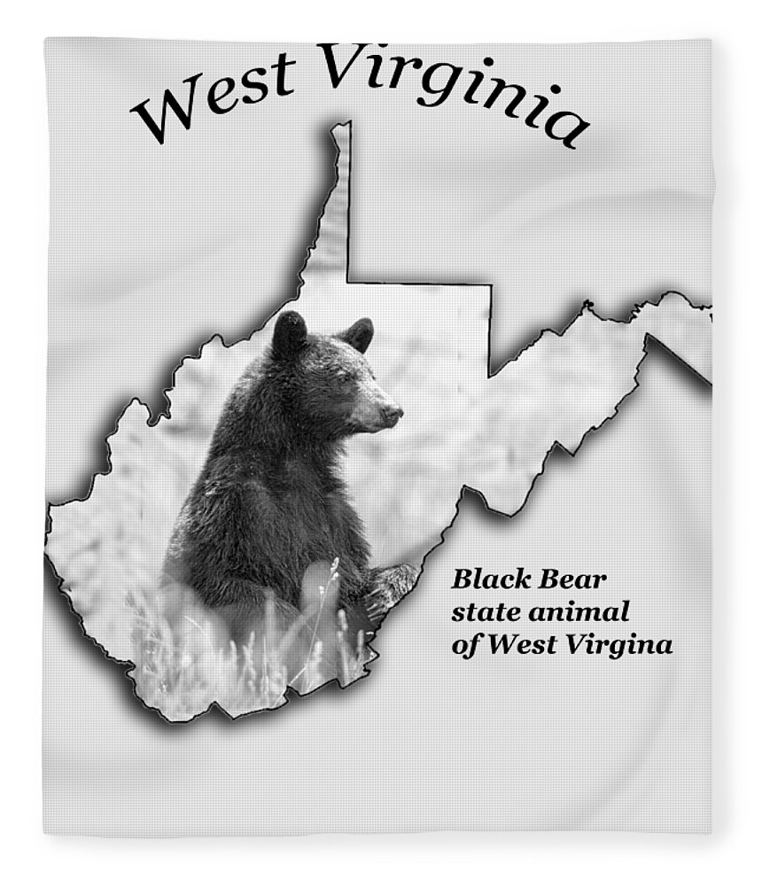 Black Bear Fleece Blanket featuring the photograph Black bear the State Animal of West Virginia by Daniel Friend