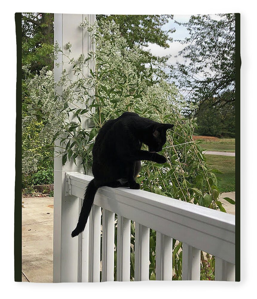 Black Cat Fleece Blanket featuring the photograph Black Cat Bathing by Valerie Collins