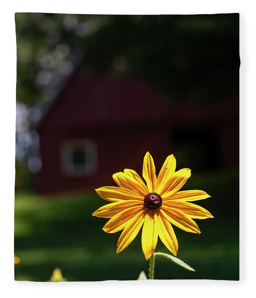 North Carolina (nc) Fleece Blanket featuring the photograph Black-Eyed Susan Shines Brightly by Charles Floyd