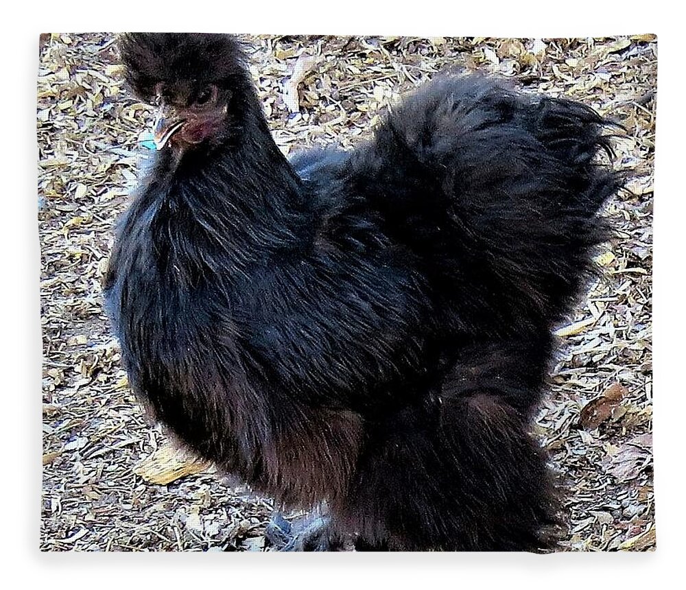 Black Chickens Fleece Blanket featuring the photograph Black Silkie Bantam by Linda Stern