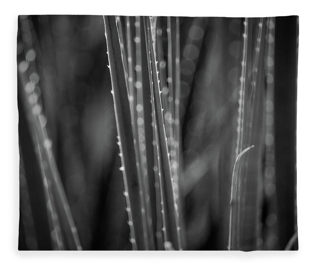 Grass Fleece Blanket featuring the photograph Blades by Rick Nelson