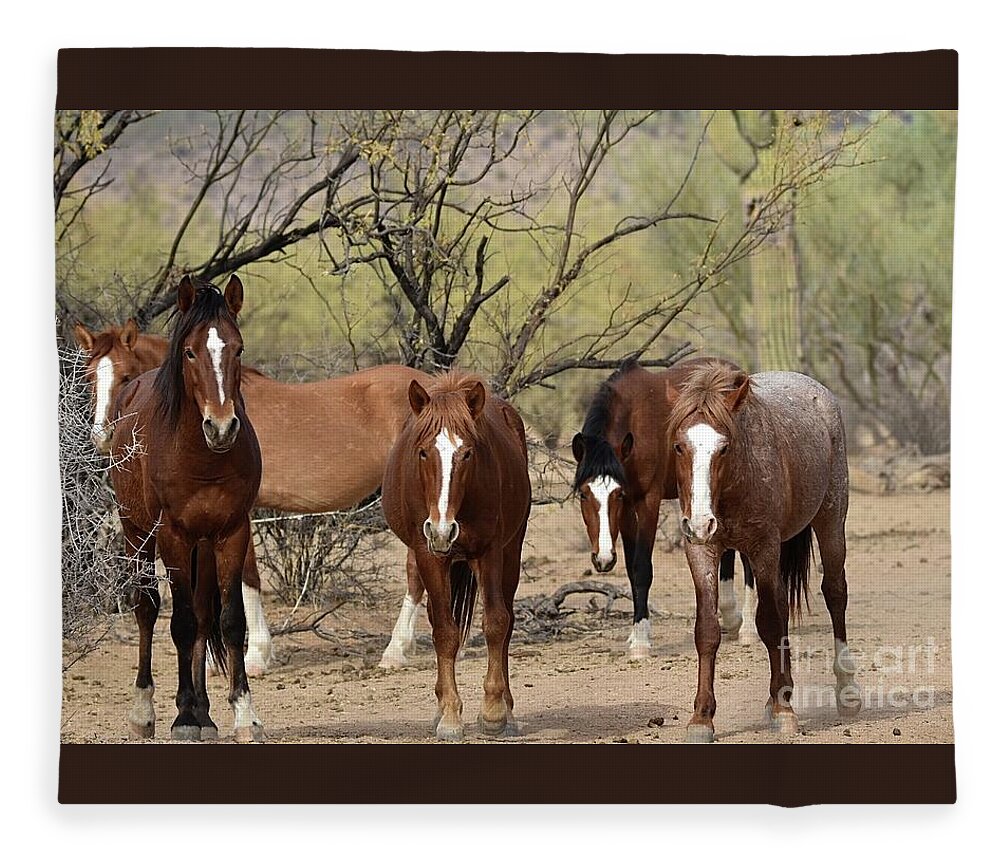 Salt River Wild Horse Fleece Blanket featuring the digital art Blazes of Glory by Tammy Keyes