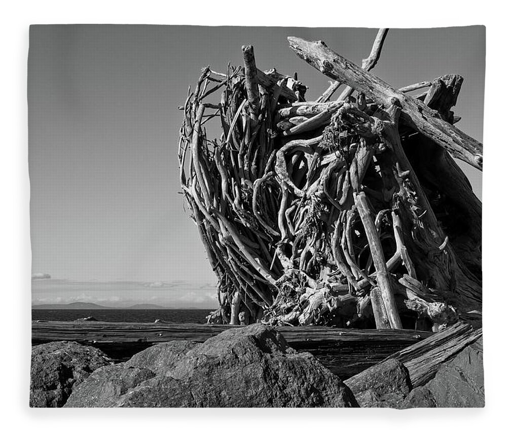 Art Fleece Blanket featuring the photograph Bleached Wood #4 by Loren Gilbert