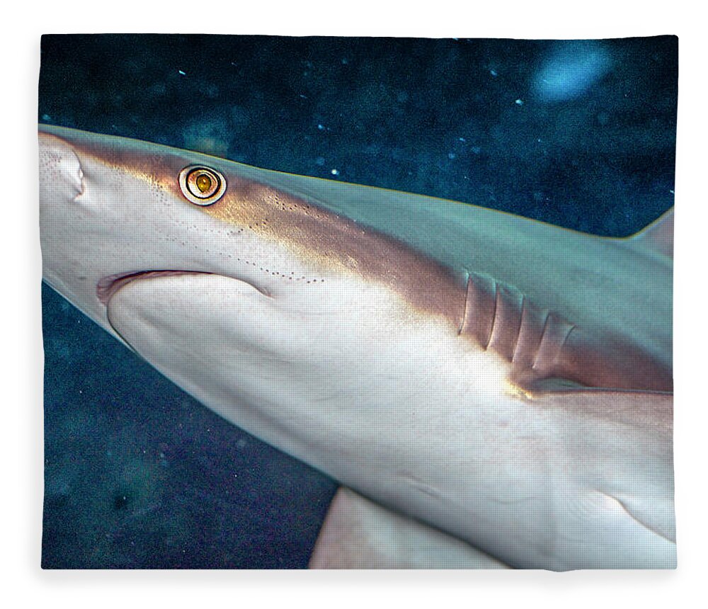 Bloody Fleece Blanket featuring the photograph Bloody Nosed Shark by WAZgriffin Digital