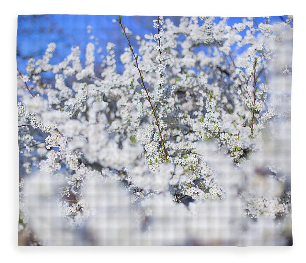 Cherry Blossoms Fleece Blanket featuring the photograph Blossoming spring by Kunal Mehra