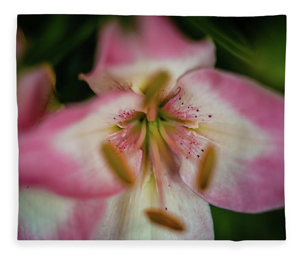  Fleece Blanket featuring the photograph Blossuming by Nicole Engstrom