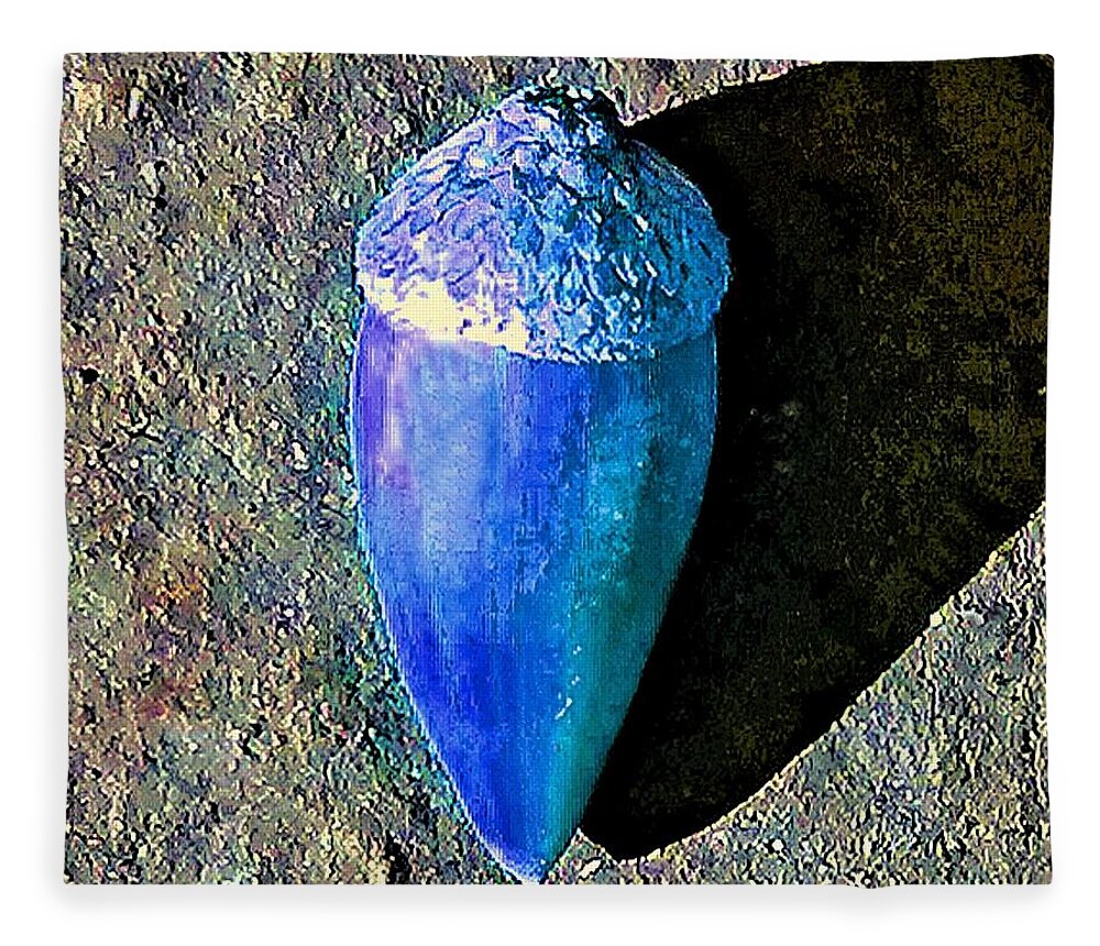Blue Fleece Blanket featuring the photograph Blue Acorn by Andrew Lawrence