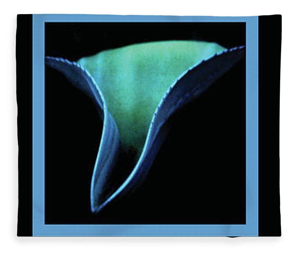 Blue Fleece Blanket featuring the photograph Blue Agave Cradle of Blue by Heather Kirk